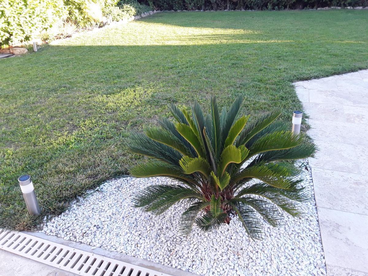 Apartmán Yofanto Sénas Exteriér fotografie